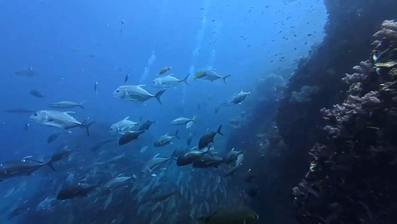 Khao Lak in Thailand is a great place to take your PADI Instructor Training